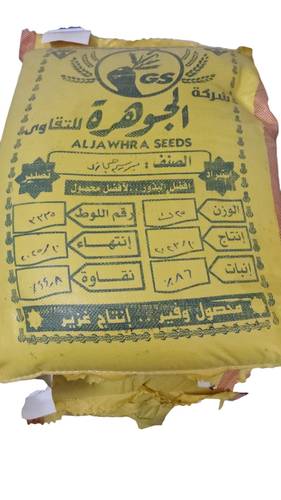 برسيم حجازي الجوهرة