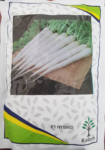 فجل ابيض هجين F1