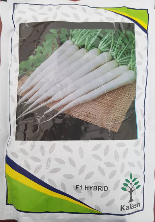 فجل ابيض هجين F1