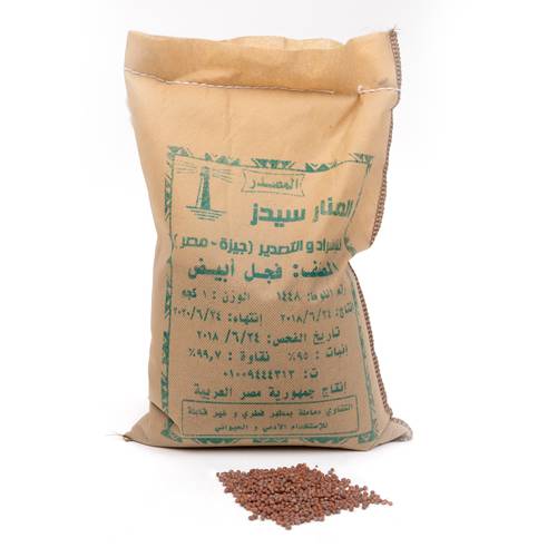 فجل ابيض 1 كيلو