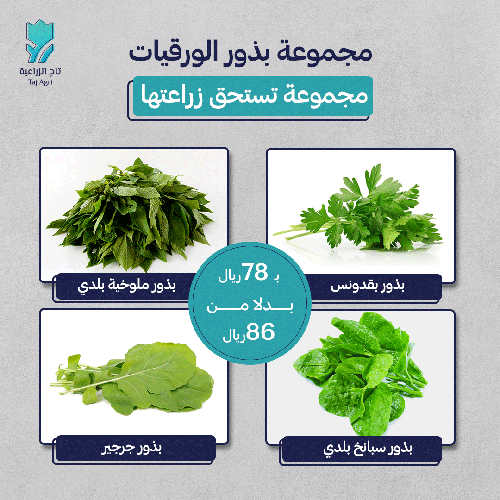 مجموعة بذور الورقيات