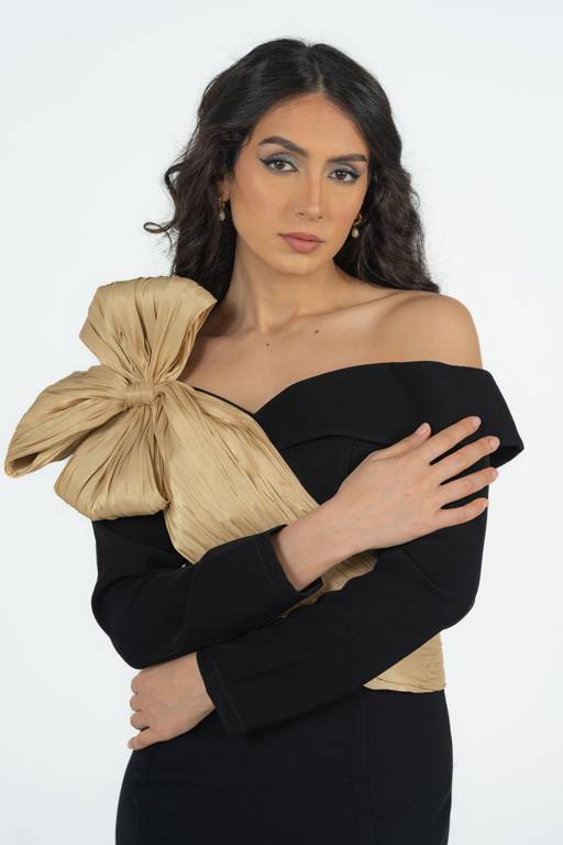 فستان بأكمام طويلة