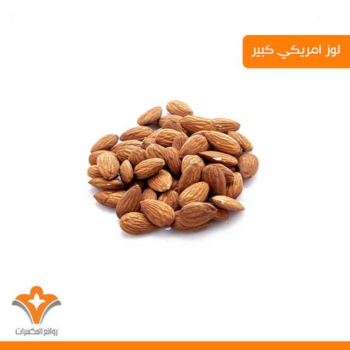 لوز امريكي كبير 