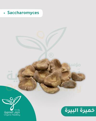 خميرة البيرة 