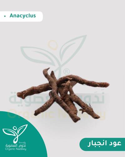 عود انجبار