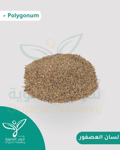 Ground Bird’s Tongue Herb