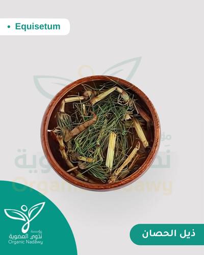 Ground Horsetail Herb