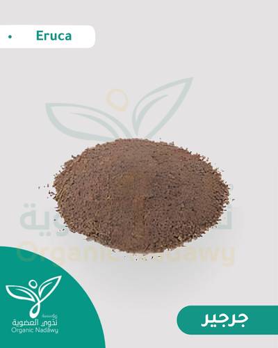بذور جرجير 33 جرام 