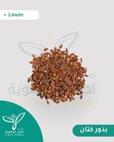 بذور كتان مطحون 33 جرام