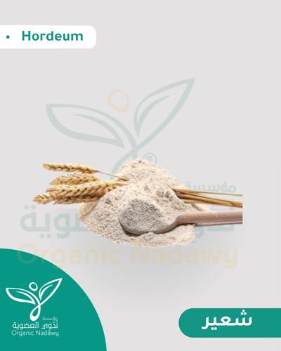 شعير  نقي مطحون  