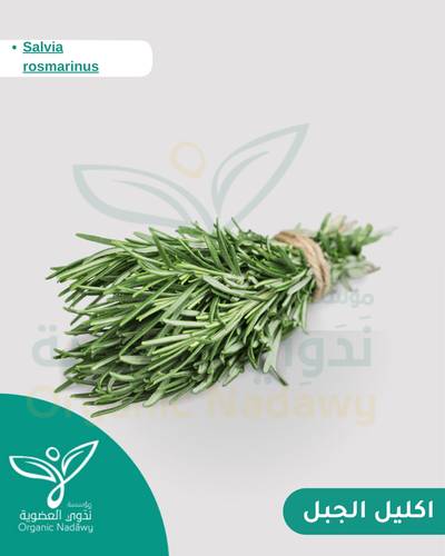 اكليل الجبل مطحون 30 جرام 