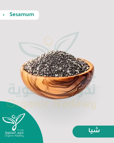 بذور شيا مطحون 33 جرام 