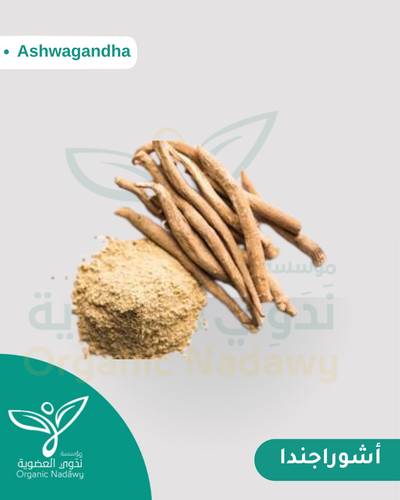 جذور اشواجندا