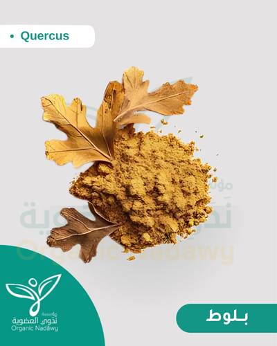 بلوط  مطحون 33 جرام