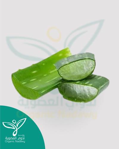 ورق صبار طازج مقطع  