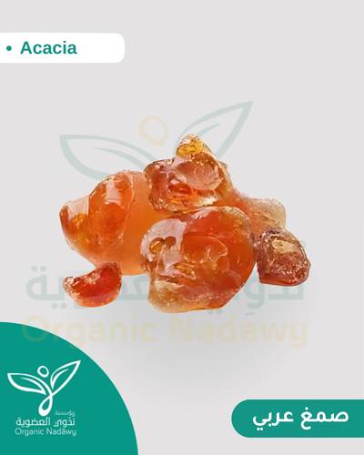 صمغ عربي 