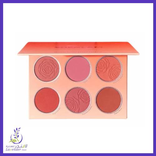 بلاشر شجلام باليت Palette