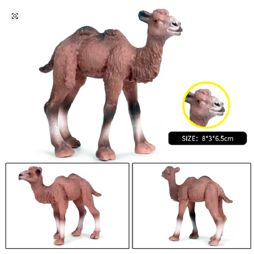 نموذج مجسم جمل ماركة Oenux