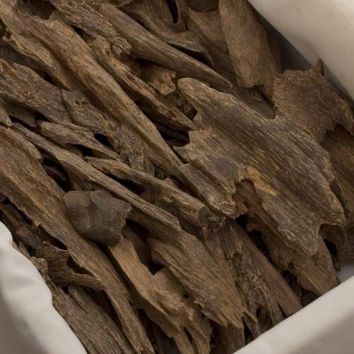 نوادر اندروتر1