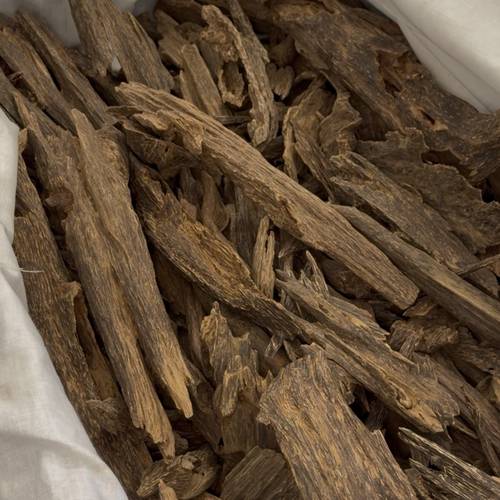 نوادر 5