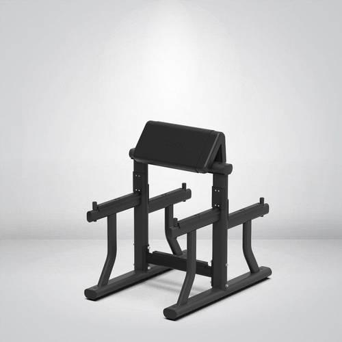 STRANGESTRENGTH STANDING ARM  CURL BENCH - Y- 407