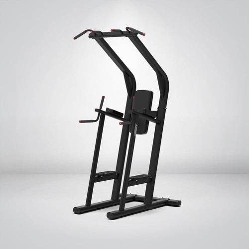 STRANGESTRENGTH CHIN/DIP LEG RAISE - Y-418