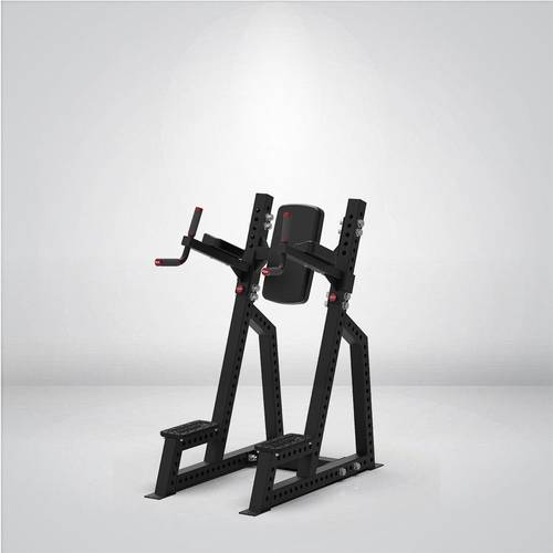 STRANGESTRENGTH Leg Raise Dip  bench - Y-405