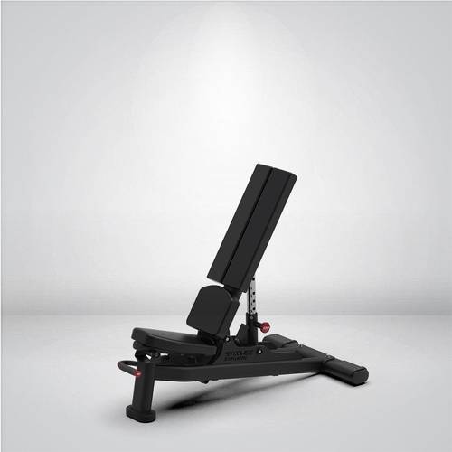 STRANGESTRENGTH Adjustable Dumbbell Bench - Y-436