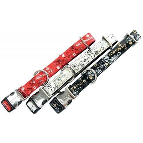 Zolux Envy Wild Forever Collar 15MM - Red