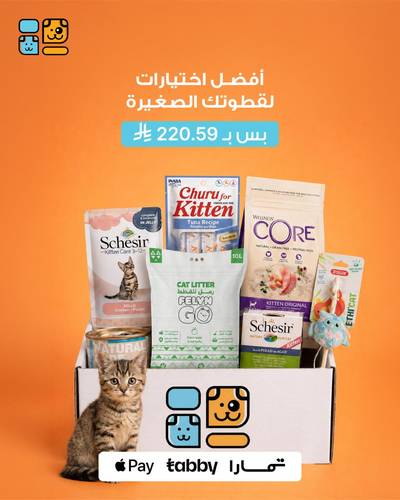مجموعة القطط الصغيرة 