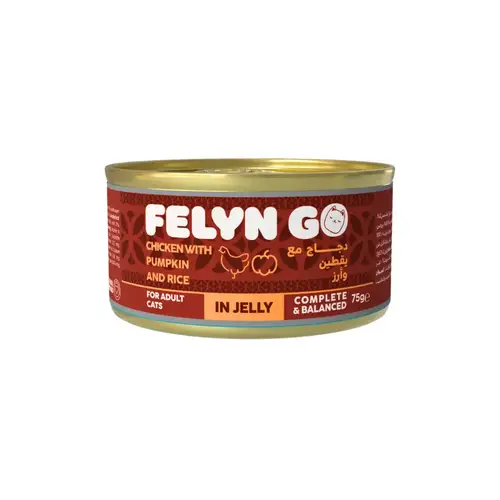 فيلاين قو طعام كامل معلبات صدر الدجاج مع اليقطين في المرق 75غ