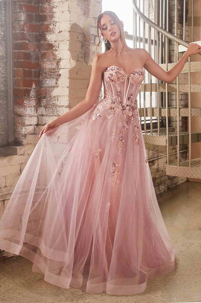 Cinderella Divine: A Feather-Adorned Masterpiece for Special Occasions