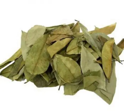 Organic Soursop Graviola leaves tea
