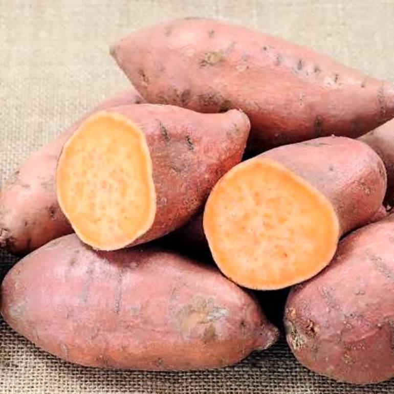 بطاطا حلوة