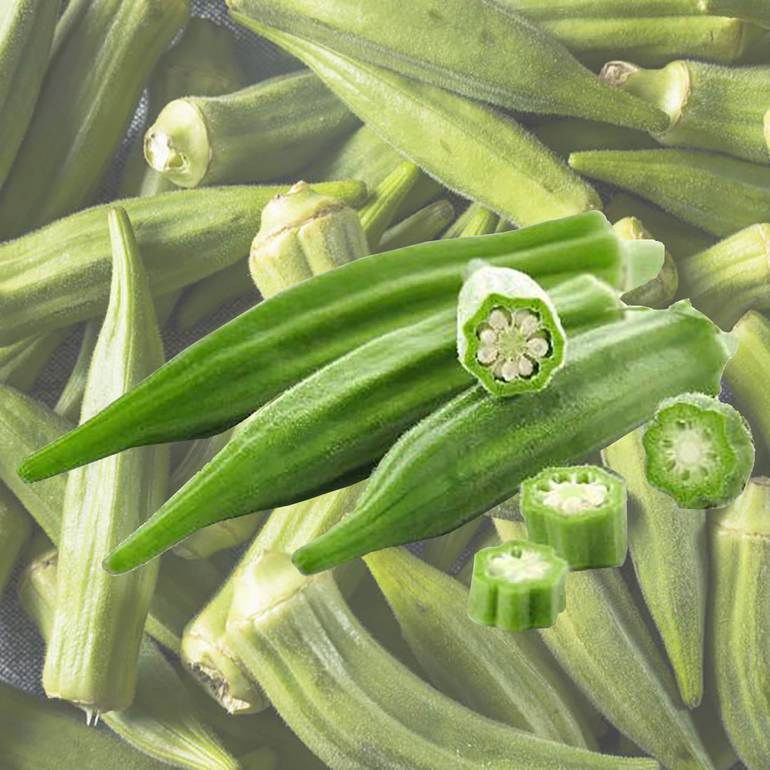 بامية