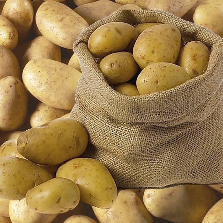 بطاطس صغير 