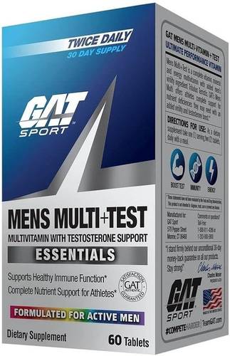 GAT Multi+test