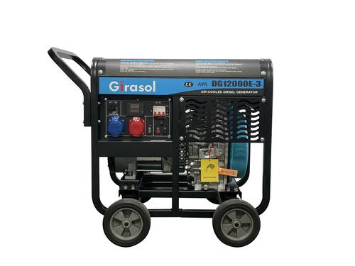 Open Frame Diesel Generator - 10 W - DG12000E-3