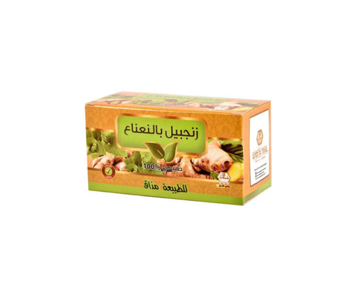 Wadi Alnahil Ginger Mint Bag Tea