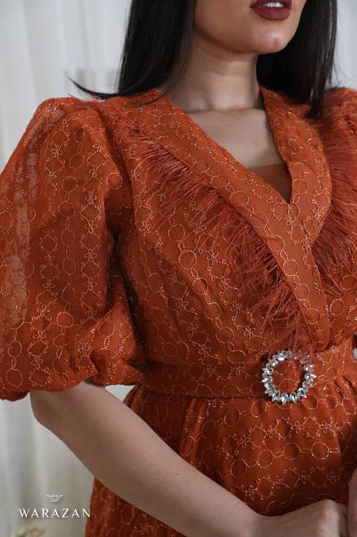 فستان سهرة بأكمام طويلة وريش من الصدر