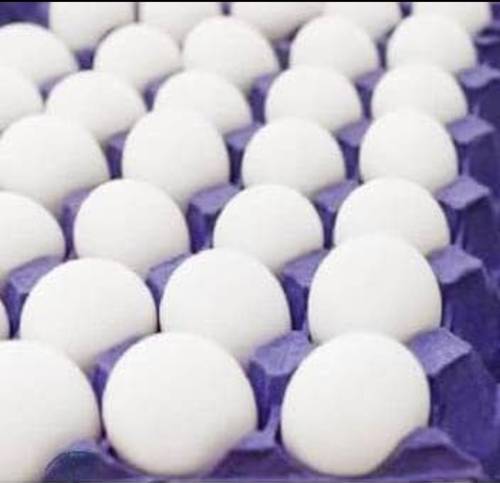 بيض المروج طبق 30 حبه كبير 60-70 جرام