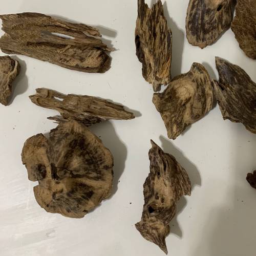 مروكي حي نقوة