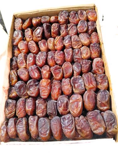 ونانه رطب كرتون كبير