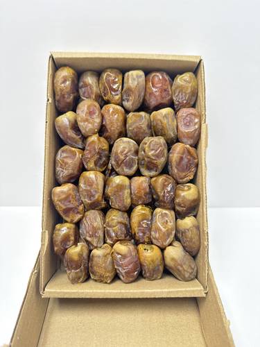 هشيشي رطب