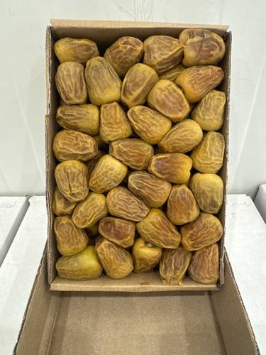 سكري مفتل خراف السنة 1447 ( كيلو )