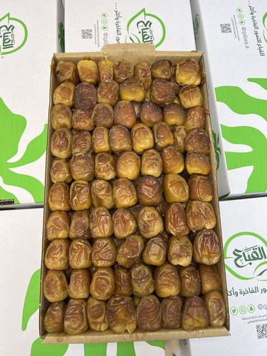 جالكسي رطب