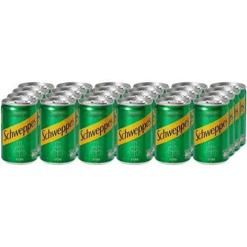 schweppes ginger ale 30x150 ml