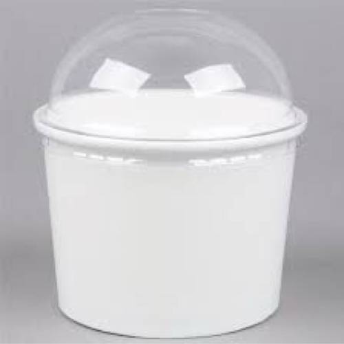 Ice cream 4 oz 1000 pics