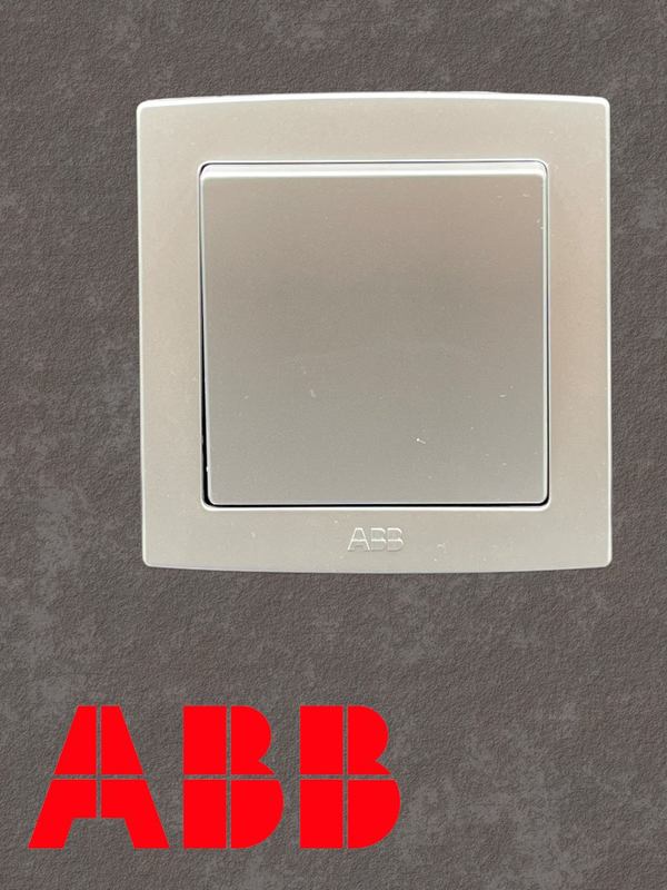 1G 1Way Millennium stainless Switch ABB