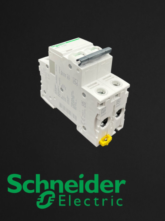 2P circuit breaker Schneider C60N / acti9 40A